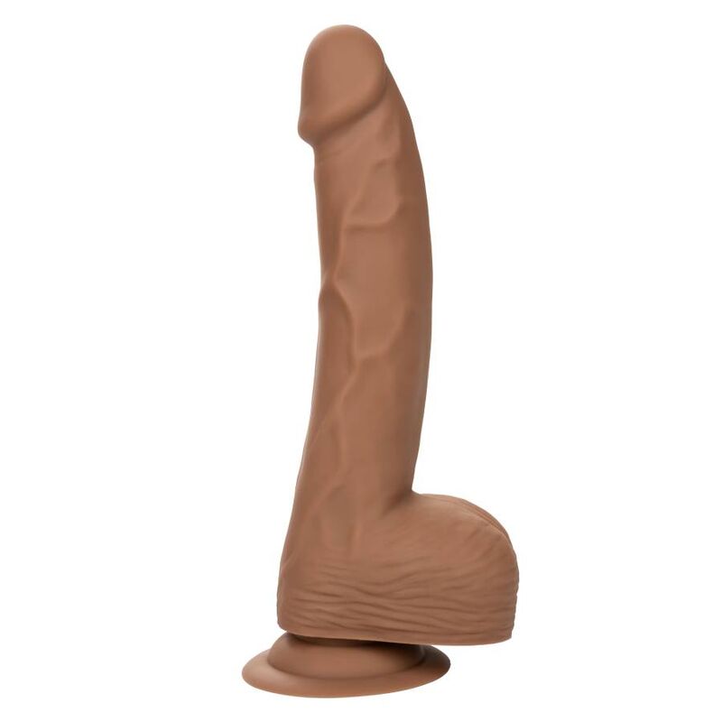 CALEXOTICS - DILDO IN SILICONE 20,32 CM BROWN
