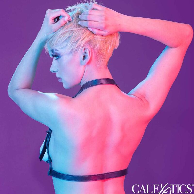CALEXOTICS - EUPHORIA HARNESS CON FIBBIE NERO