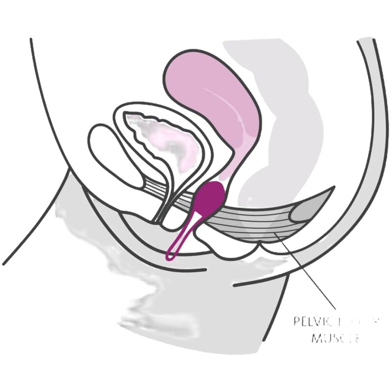 FUN FACTORY - SMARTBALL UNO PALLINA VAGINALE BIANCA / LILLA PASTELLO