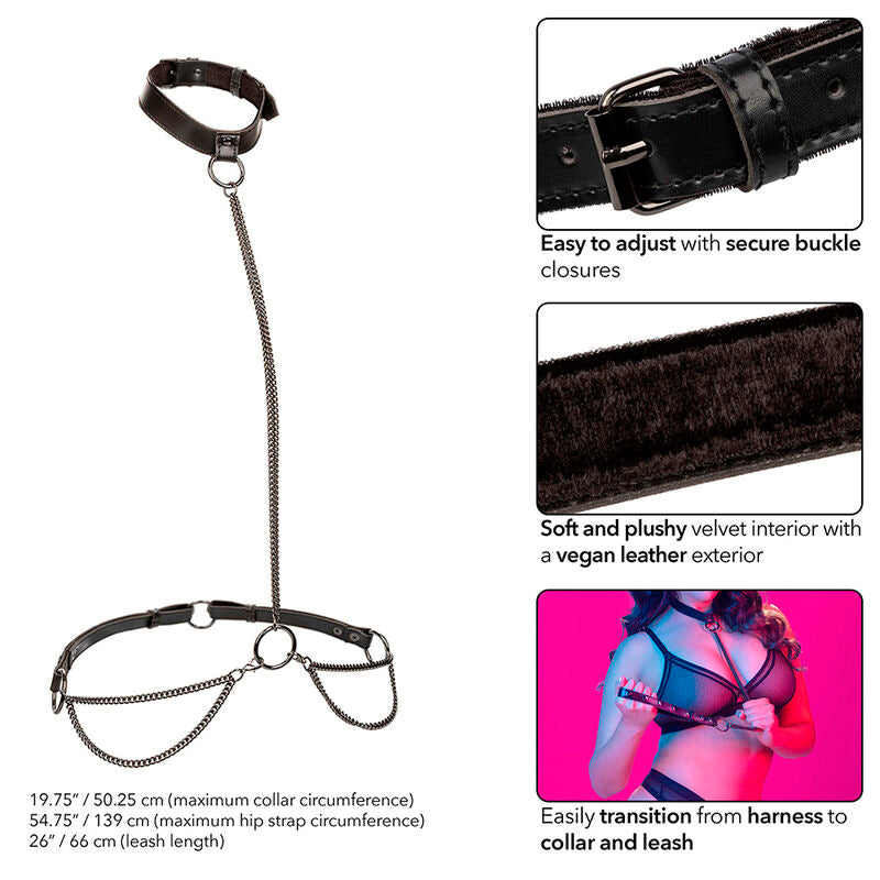 CALEXOTICS - EUPHORIA COLLARE E GUINZAGLIO CON CATENA PLUS SIZE