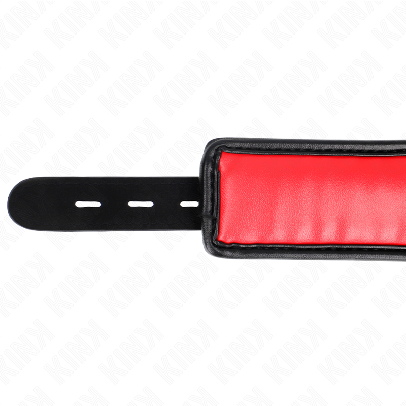 KINK - COLLARE CON GUINZAGLIO IN SIMILPELLE SPUGNA MODELLO 3 REGOLABILE 37-54 CM X 3 CM