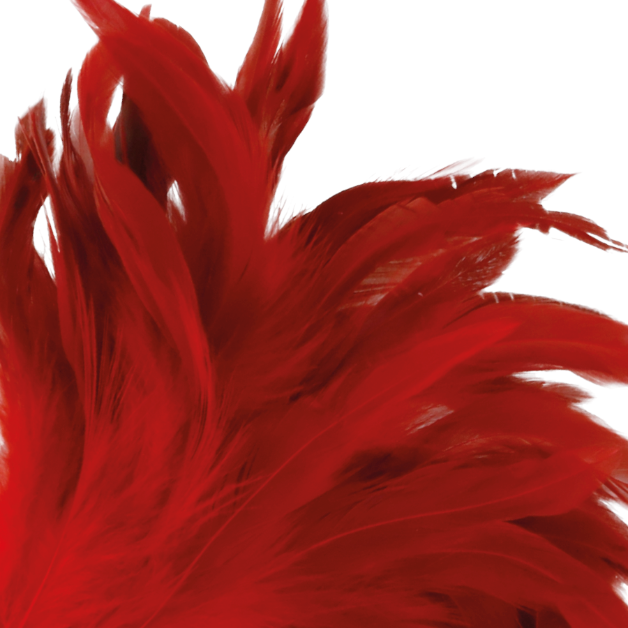 DARKNESS - PIUMINO SOLLETICATORE ROSSO 24CM