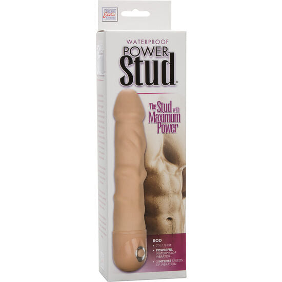 CALEXOTICS - POWER STUD VIBRATORE NUDE