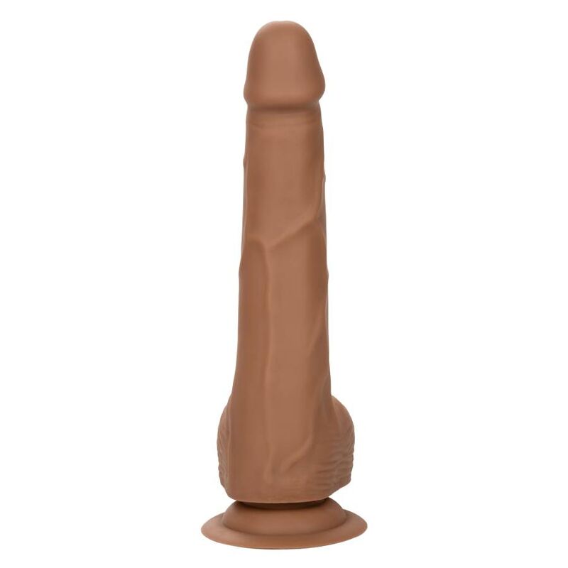 CALEXOTICS - DILDO IN SILICONE 20,32 CM BROWN