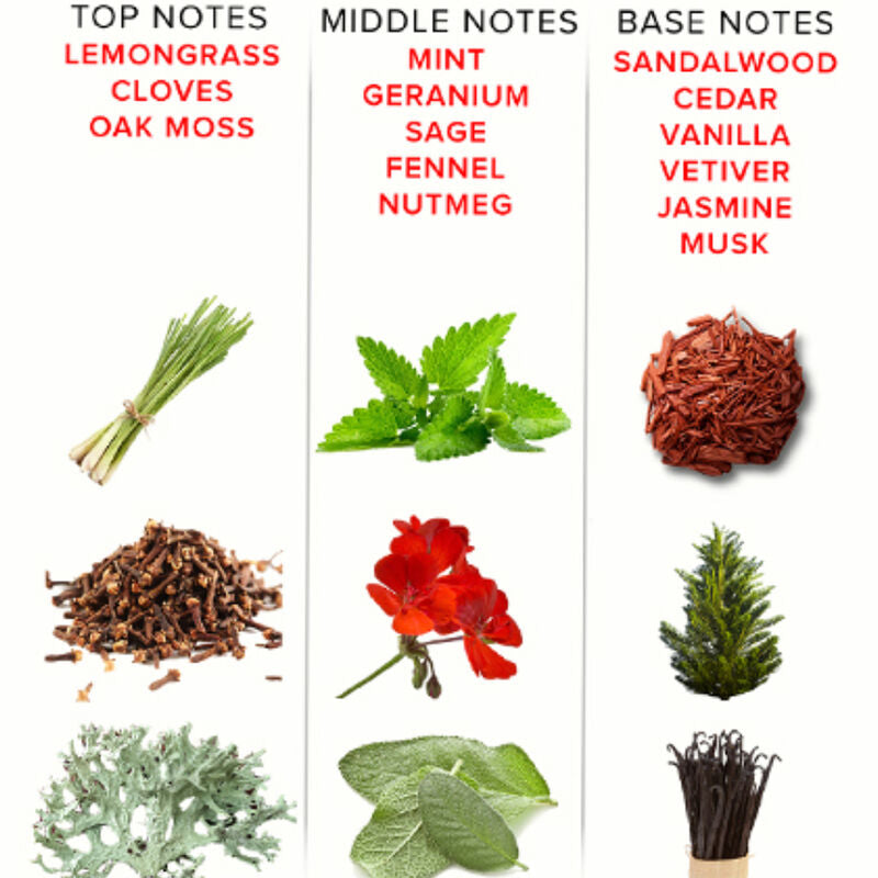 EYE OF LOVE - PROFUMO AI FEROMONI ROMANTIC PER LUI 50 ML