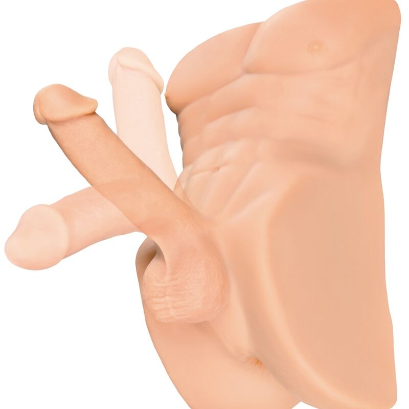 PDX PLUS - PERFECT RIDE MASTURBATORE TORSO MASCHILE REALISTICO CON PENE E ANO