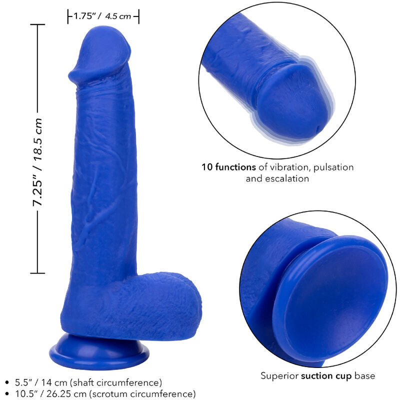 DILDO REALISTICO VIBRANTE ADMIRAL CAPTAIN BLU