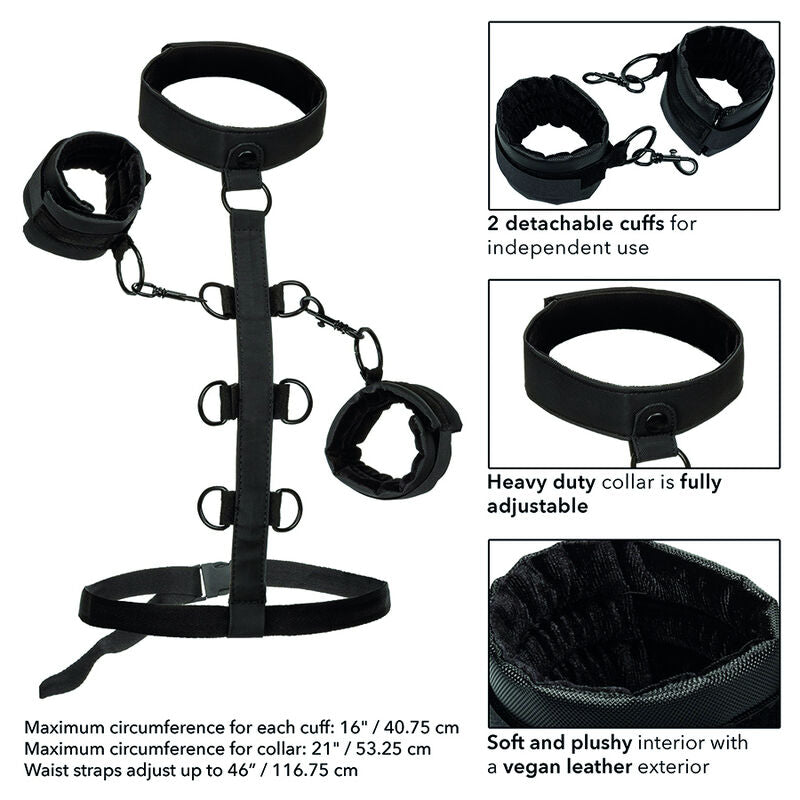 CALEXOTICS - BOUNDLESS COLLARE CON COSTRITTIVO CORPO