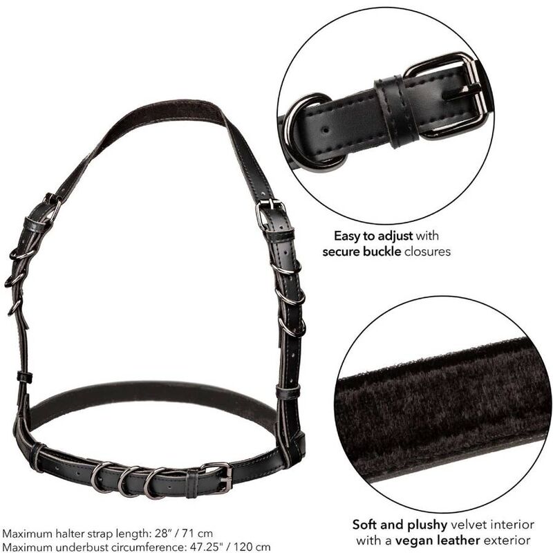 CALEXOTICS - EUPHORIA HARNESS CON FIBBIA NERA PLUS SIZE