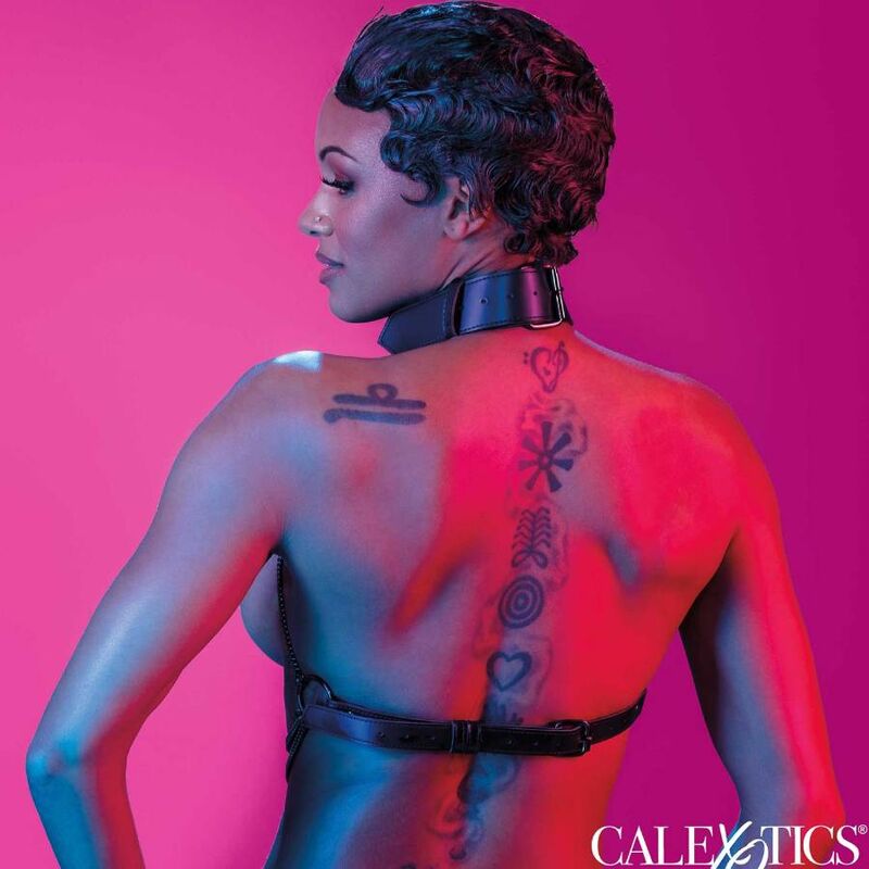 CALEXOTICS - EUPHORIA HARNESS MULTI CATENA