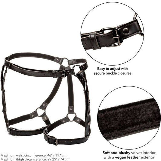 CALEXOTICS - EUPHORIA RIDING THIGH HARNESS PLUS SIZE