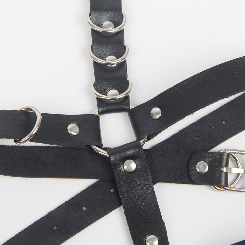 HARNESS ELEGANTE CON ANELLI, DESIGN SOFISTICATO, COMFORT MASSIMO