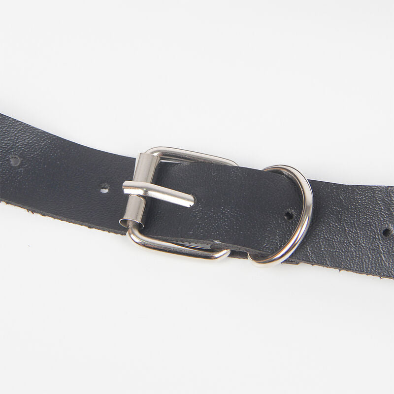 HARNESS ELEGANTE CON ANELLI, DESIGN SOFISTICATO, COMFORT MASSIMO