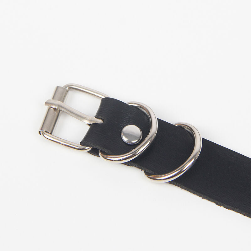 HARNESS ELEGANTE CON ANELLI, DESIGN SOFISTICATO, COMFORT MASSIMO