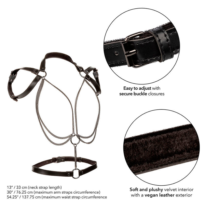 CALEXOTICS - EUPHORIA HARNESS  MULTI CATENA PREMIUM PLUS SIZE