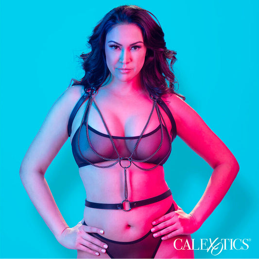 CALEXOTICS - IMBRACATURA MULTICATENA EUPHORIA PREMIUM PLUS SIZE