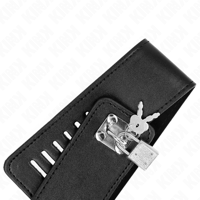 KINK - COLLARE CON GUINZAGLIO 116 CM MODELLO 2 REGOLABILE 36-43 CM X 5 CM