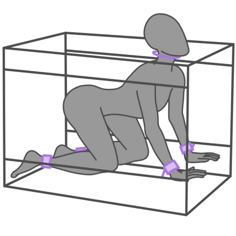 SECRET DOME - KINK CLUB LA NICHE CABINA VIOLA