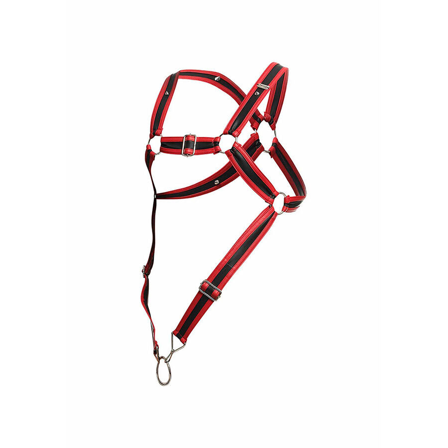 HARNESS A CROCE CON ANELLO PENE, DESIGN AUDACE, COMFORT MASSIMO