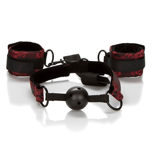 CALEXOTICS - SCANDAL BALL GAG FORATO CON MANETTE