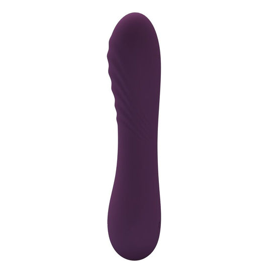 VIBRATORE RICARICABILE, 10 FUNZIONI, DESIGN ERGONOMICO VIOLA