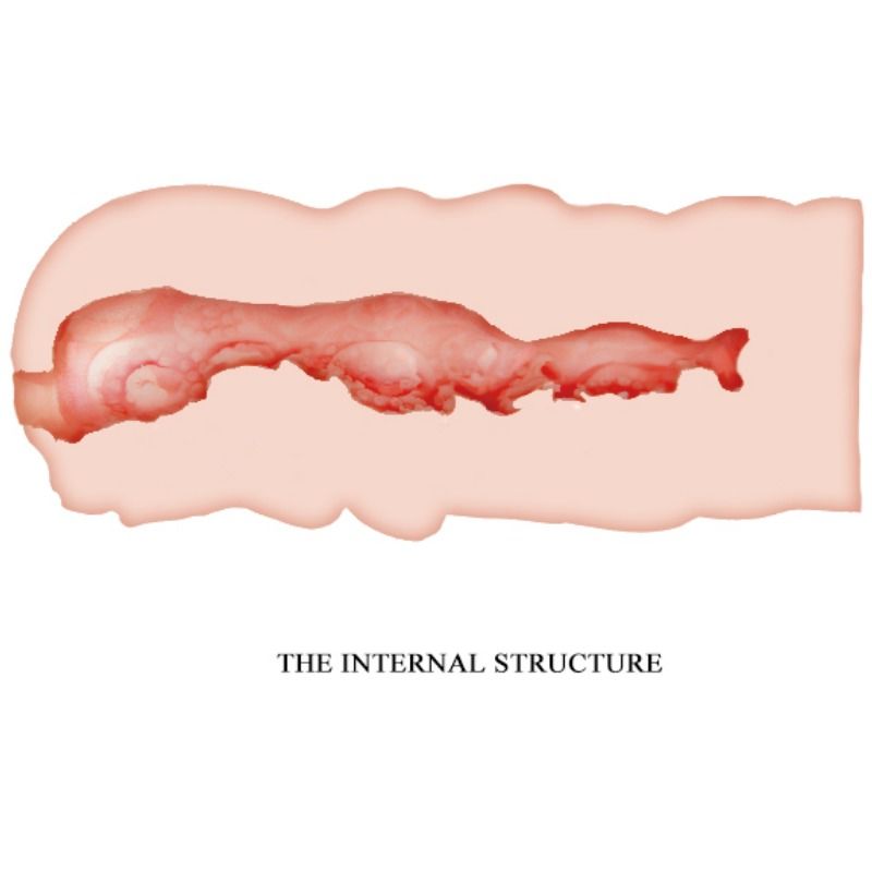 CRAZY BULL - ISABEL MASTURBATORE CON VAGINA 13.5 CM