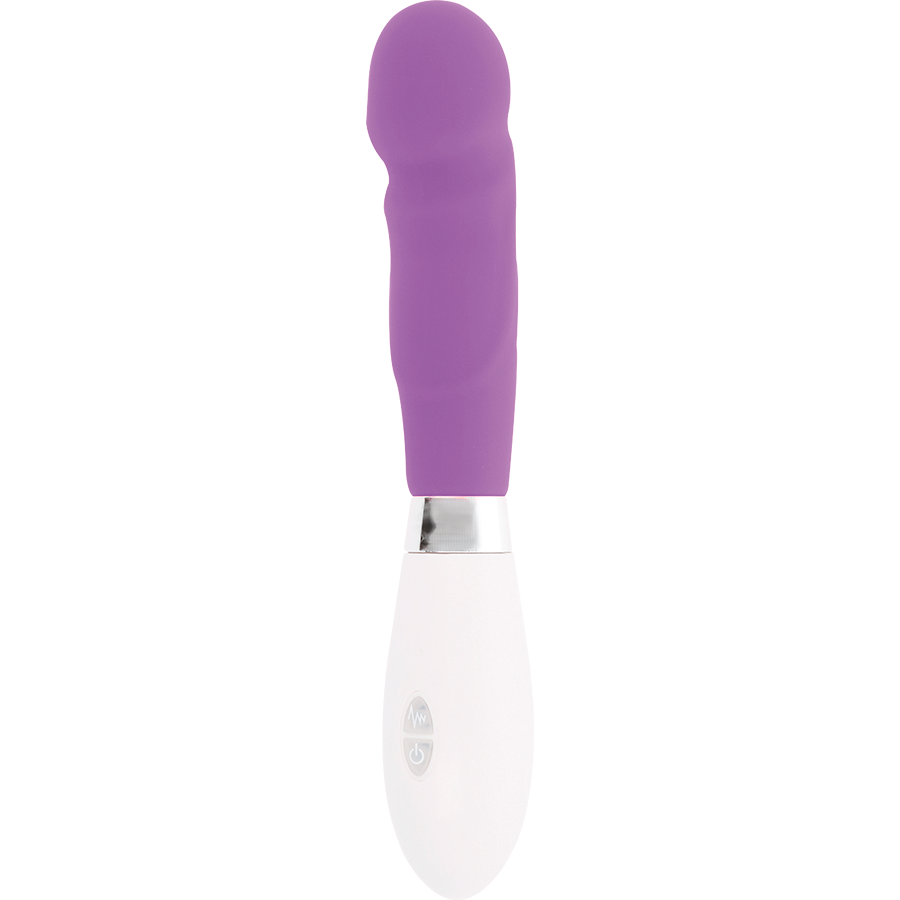 GLOSSY - PAUL VIBRATORE  VIOLA