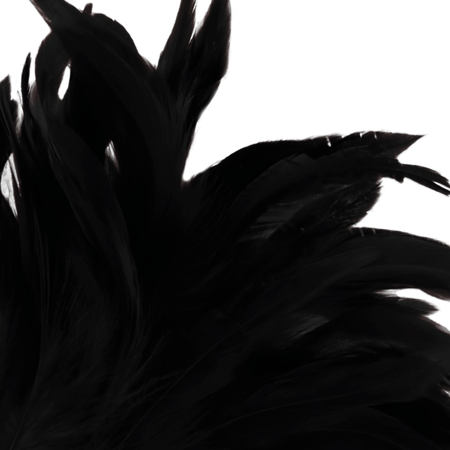 DARKNESS - BLACK LUX PIUMA STIMOLANTE