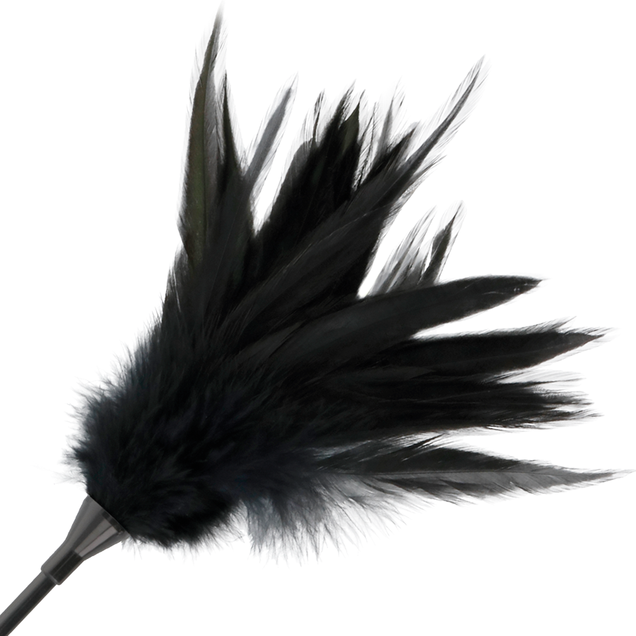 DARKNESS - FRUSTINO CON  PIUME NERO