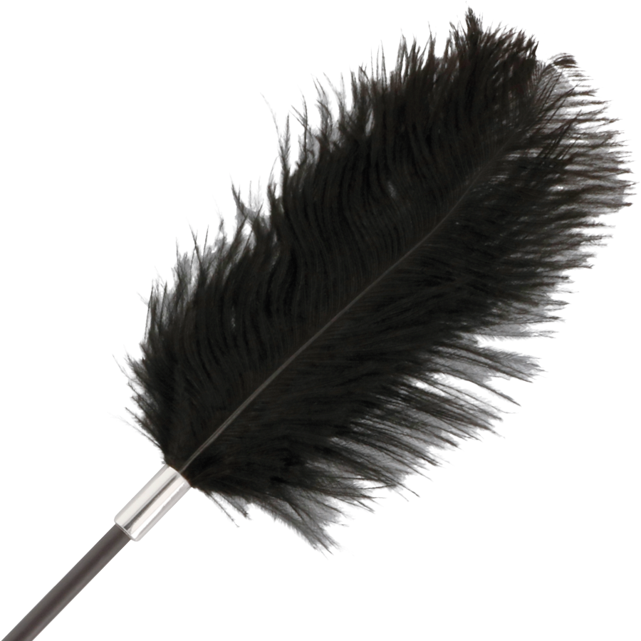 DARKNESS - BLACK LOVE FRUSTA CON PIUME 56 CM